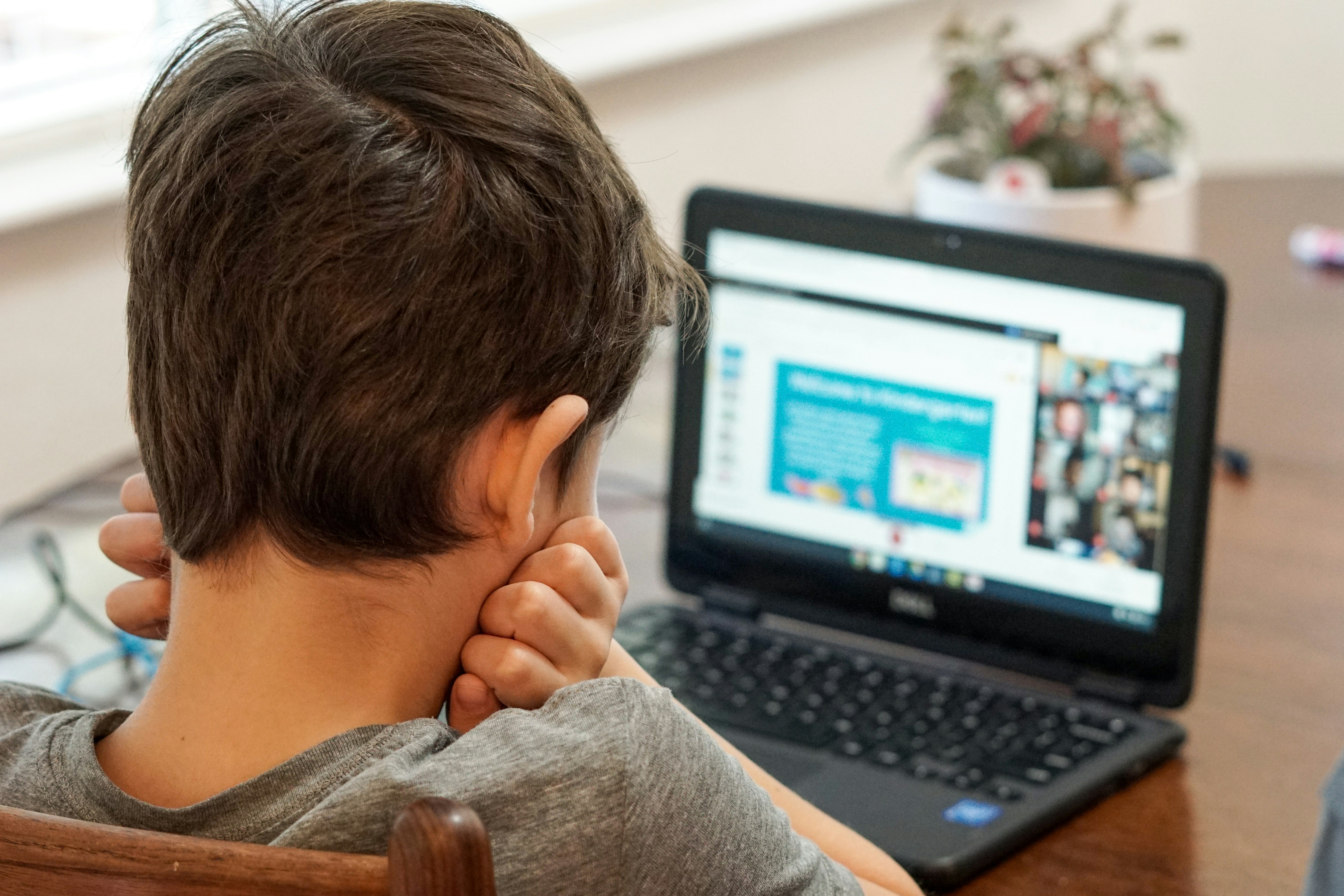 Online lesson on a laptop